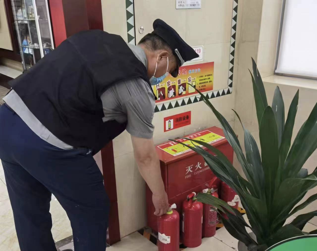 1685516232349591.jpg 1685516232349591.jpg