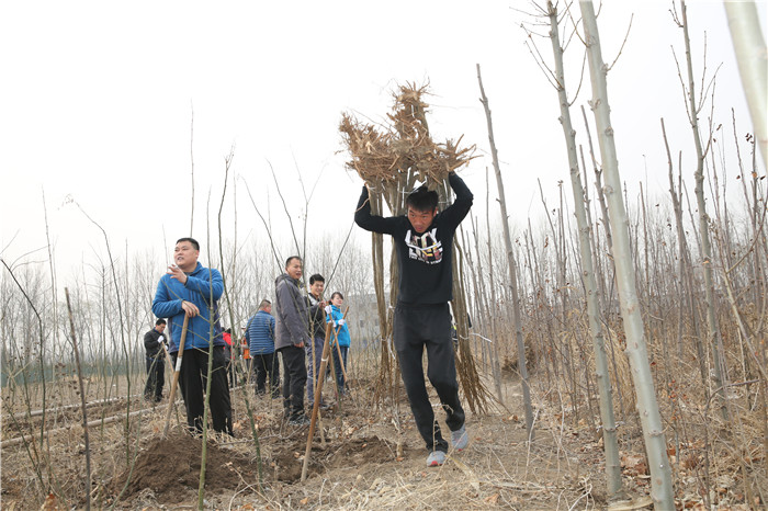 植树3.jpg