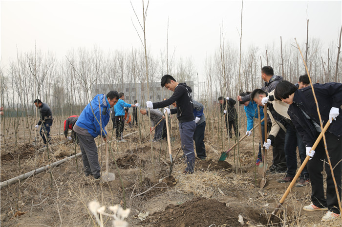 植树9.jpg