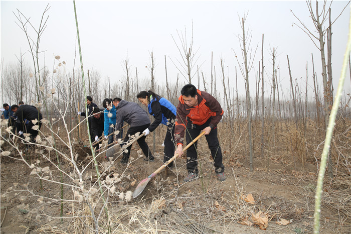 植树11.jpg